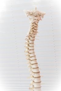 What is a Spinal Subluxation?
